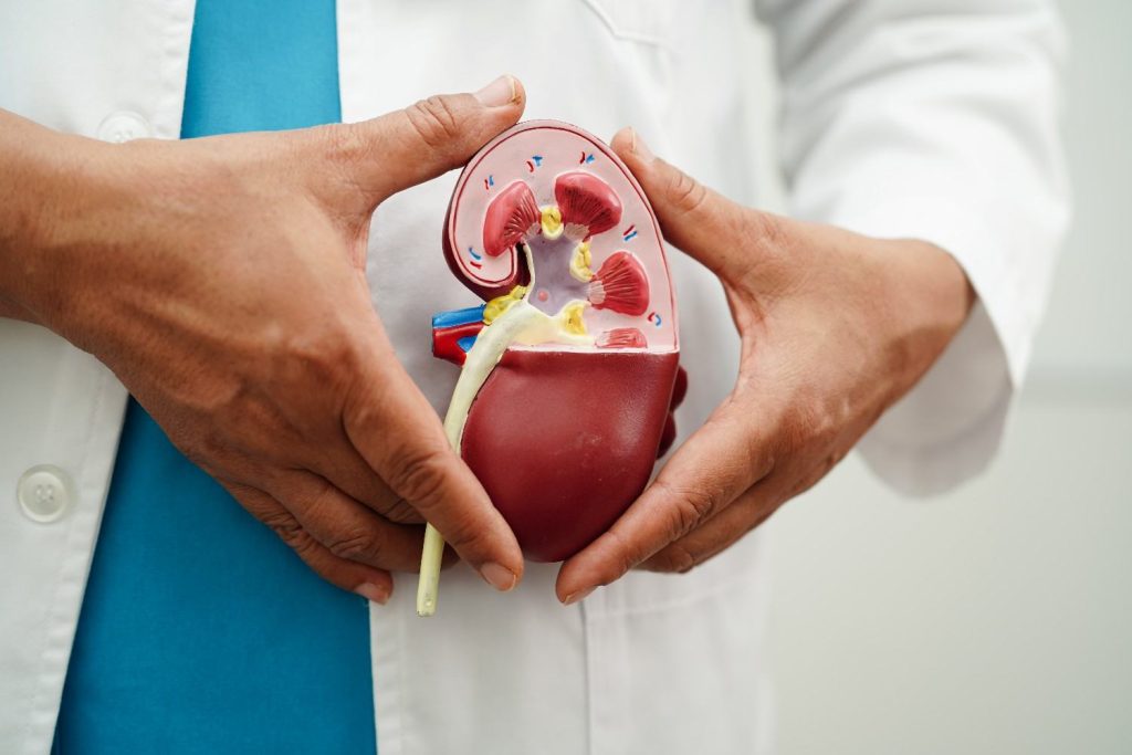 Foods and drinks that increase kidney stone risk